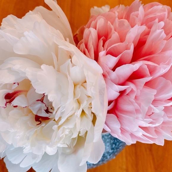 Meet your Posher, Lovepeony - Picture 1 of 1